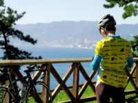 自転車・ロードバイクの運搬が可能な運送業者まとめ - チャリストック